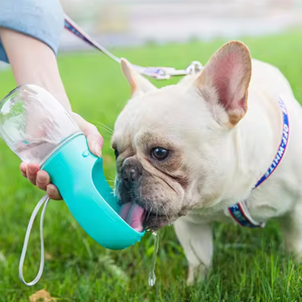 Cestovná fľaša Mersjo pre psov 350 ml zelená