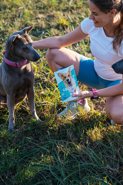 Geloren Small Dog 180g - doplnková zmes, želé pre psov na kĺby