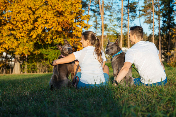 Geloren Small Dog 180g - doplnková zmes, želé pre psov na kĺby