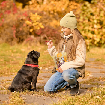 Vápencové stehno s kačacinou, prírodná pochúťka pre psov, Mersjo, WildLeg, 500g
