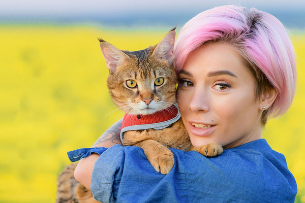 Jednorazová podstielka, bentonitová podstielka pre mačky PH CONTROL so zásobníkom 2,7 l + lopatka