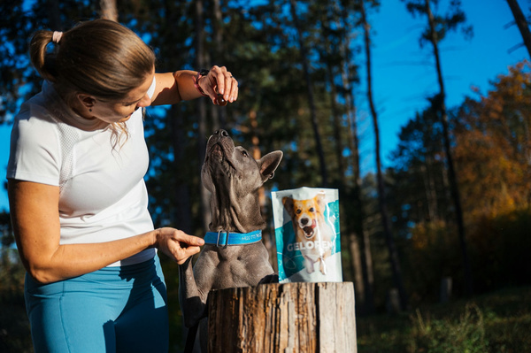 Geloren Small Dog 180g - doplnková zmes, želé pre psov na kĺby