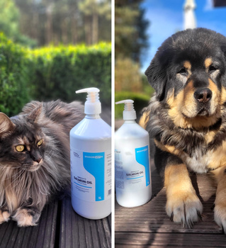 Olej z lososa pre psa a mačku Irodori Vet 1000ml