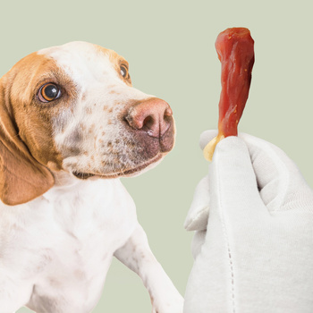 Vápencové stehno s kačacinou, prírodná pochúťka pre psov, Mersjo, WildLeg, 500g