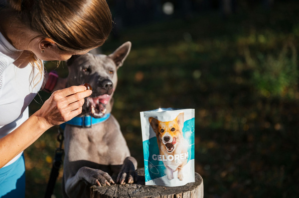 Geloren Small Dog 180g - doplnková zmes, želé pre psov na kĺby