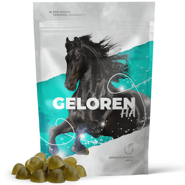 Geloren Horse HA 1350g - doplnková zmes, želé pre kone na kĺby 3x450g
