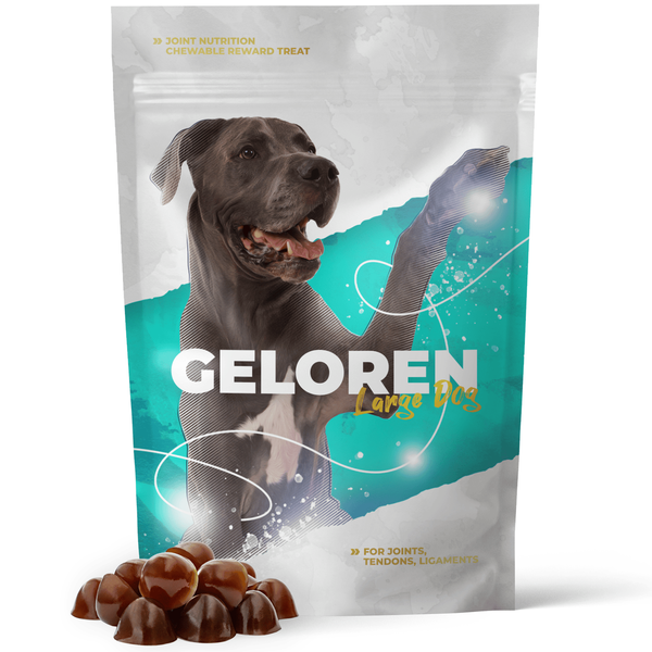 Geloren Large Dog 420g - doplnková zmes, želé pre psov na kĺby
