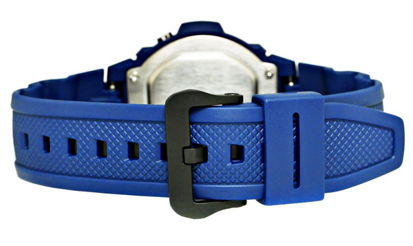 Pánske hodinky Casio W-219H-2AVDF