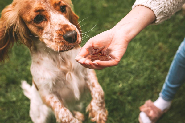 Mačacie maškrty – Mini kúsky kačice 50 g