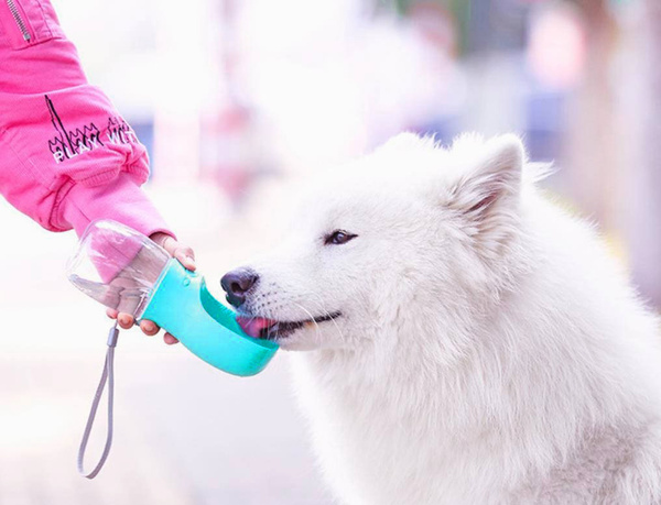 Cestovná fľaša Mersjo pre psov 350 ml zelená