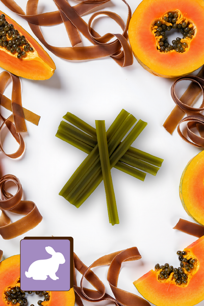 Dentálna pochúťka pre psov Dental Sticks Mersjo Hovädzie Riasy Čaj 28 ks