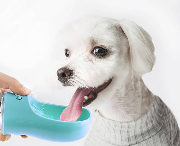 Cestovná fľaša Mersjo pre psov 350 ml zelená