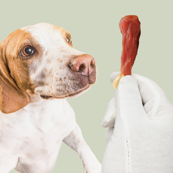 Vápencové stehno s kačacinou, prírodná pochúťka pre psov, Mersjo, WildLeg, 500g