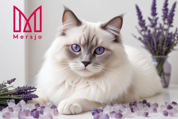 Mersjo Levanduľová silikónová podstielka pre mačky 5x3,8L