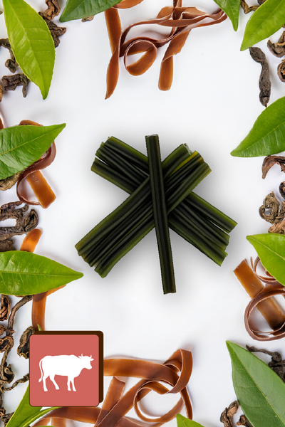 Dentálna pochúťka pre psov Dental Sticks Mersjo Hovädzie Riasy Čaj 28 ks