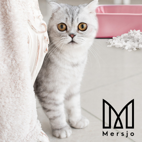 Mersjo Sensitive silikónová podstielka pre mačky 5x3,8L