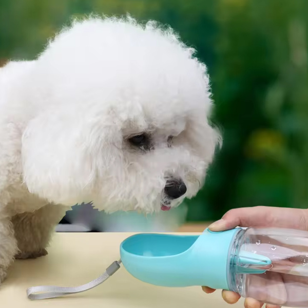 Cestovná fľaša Mersjo pre psov 350 ml zelená