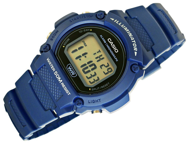 Pánske hodinky Casio W-219H-2AVDF